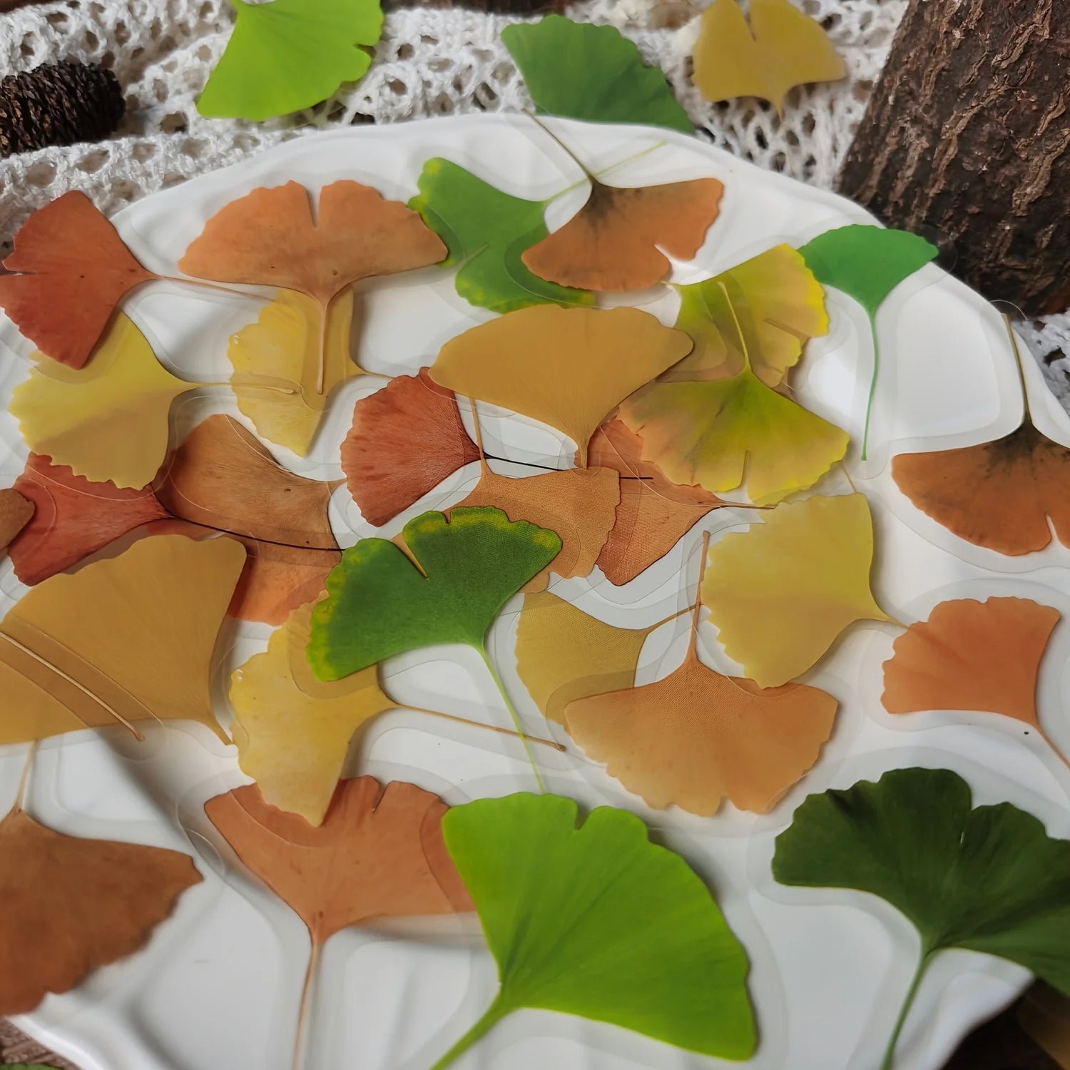 40 pcs/pack Vintage Plant Leaf Stickers Maple Leaf Decorative stickers DIY Scrapbook Album Craft Diary Deco Label stickers